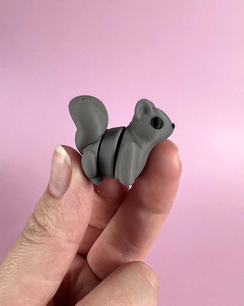 Squirrel Wiggly Toy