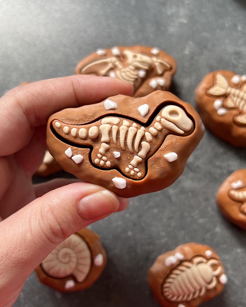 Dinosaur Fossil Clicker Fidget Toy
