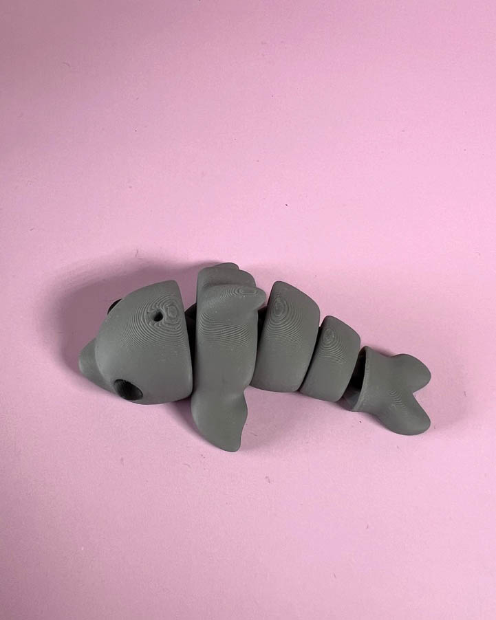 Dolphin Wiggly Toy