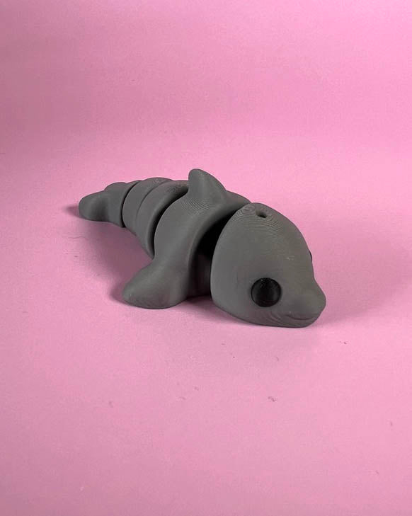 Dolphin Wiggly Toy