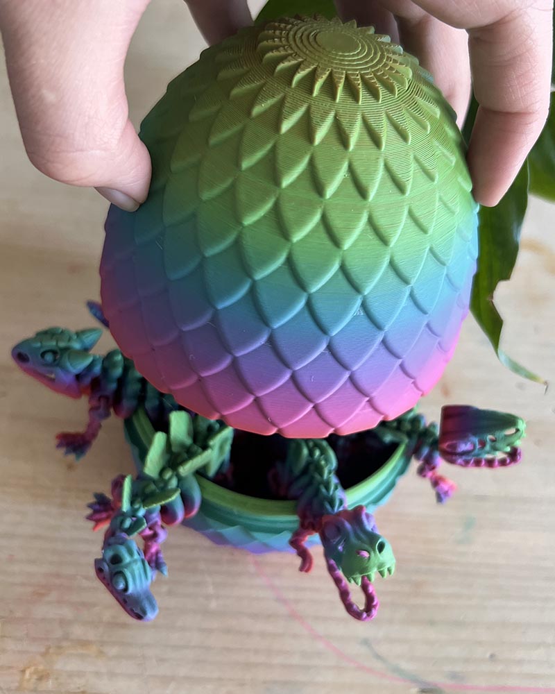 Flexi Dino Skeleton Egg Bundle