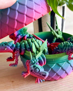 Flexi Dino Skeleton Egg Bundle