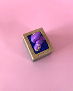 Kraken in a Pool Fidget Toy