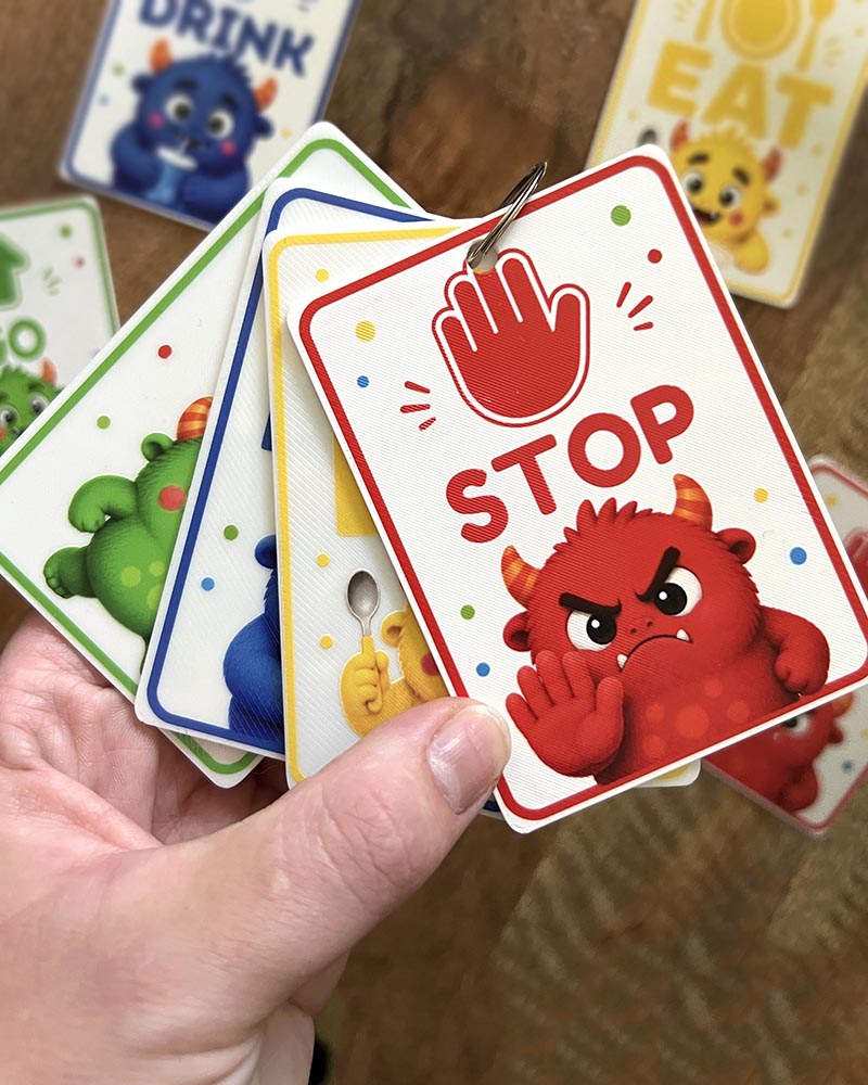 Monster Visual Communication Keyring Cards