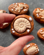 Dinosaur Fossil Clicker Fidget Toy