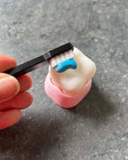 Tooth & Toothbrush Clicker Fidget Toy