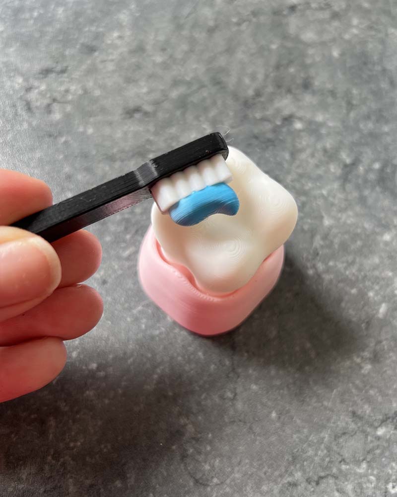 Tooth & Toothbrush Clicker Fidget Toy