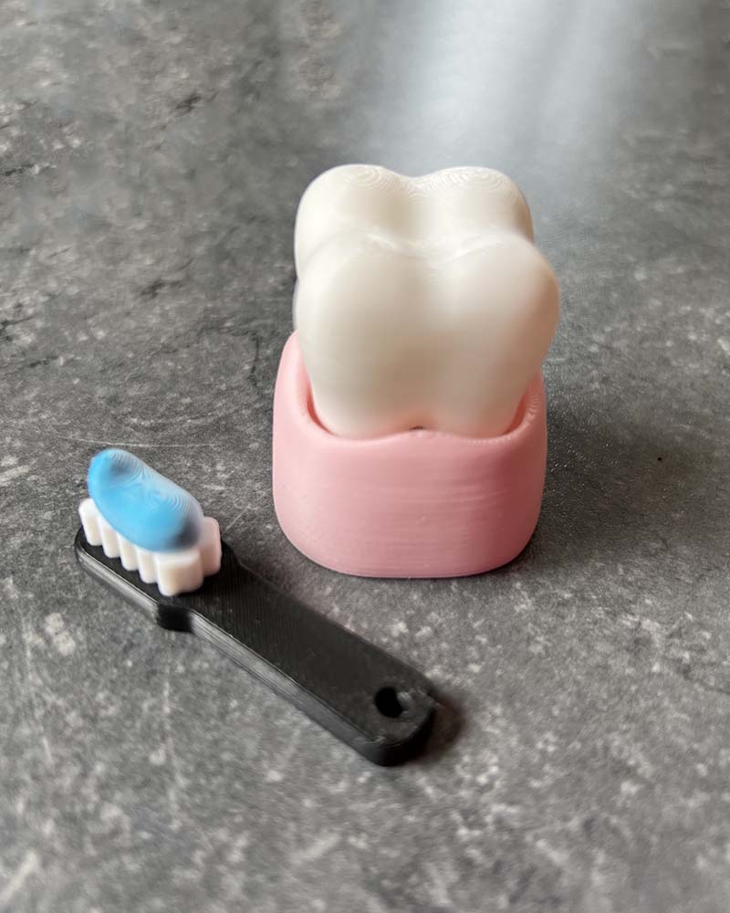 Tooth & Toothbrush Clicker Fidget Toy
