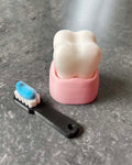 Tooth & Toothbrush Clicker Fidget Toy