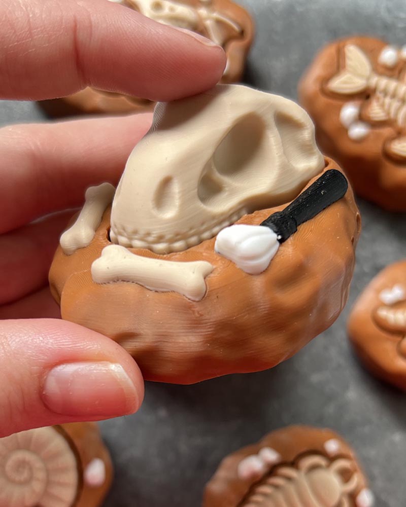 Dinosaur Fossil Clicker Fidget Toy