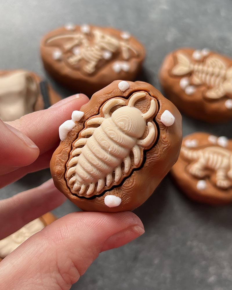 Dinosaur Fossil Clicker Fidget Toy