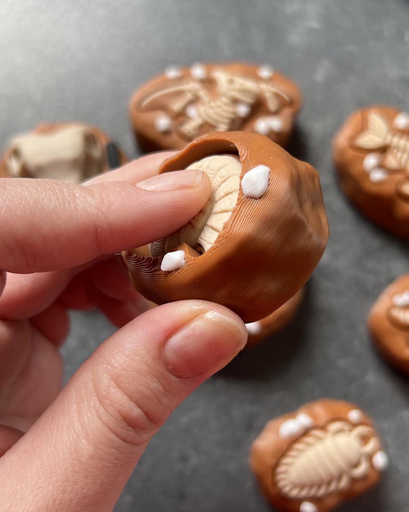 Dinosaur Fossil Clicker Fidget Toy