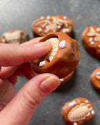 Dinosaur Fossil Clicker Fidget Toy