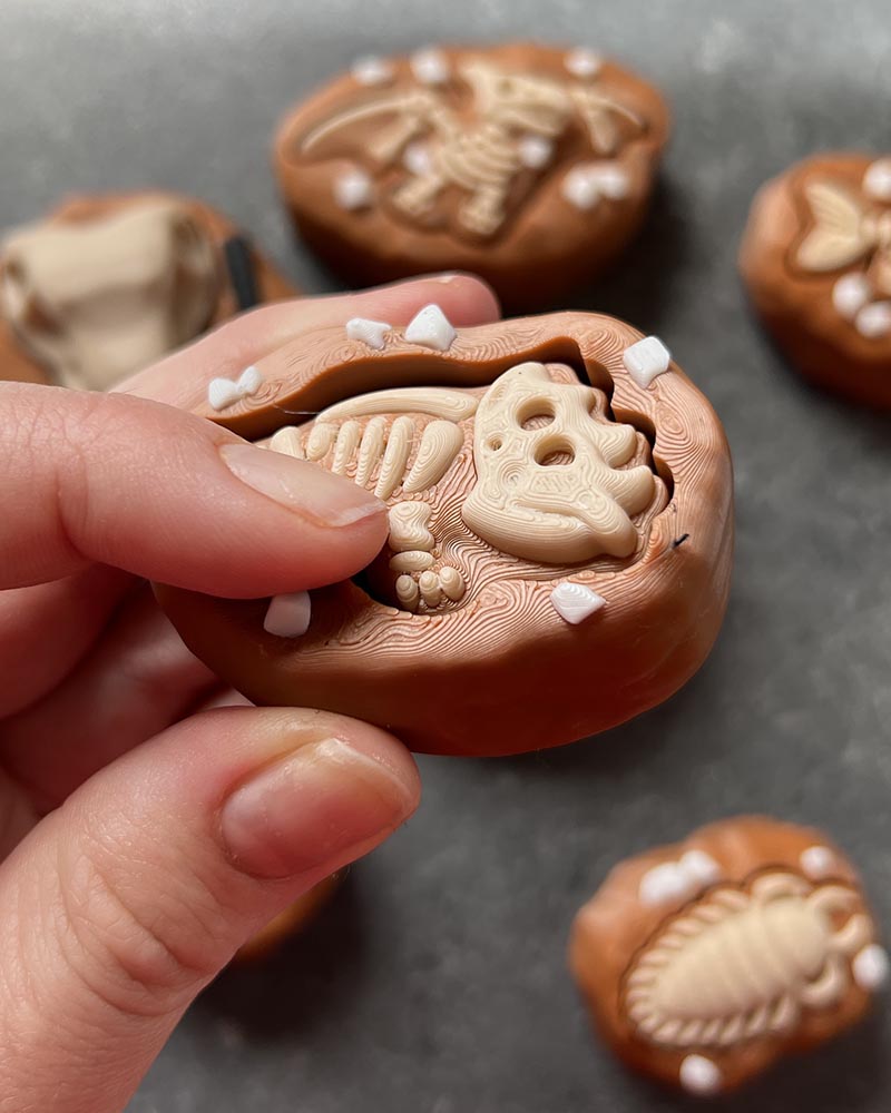 Dinosaur Fossil Clicker Fidget Toy