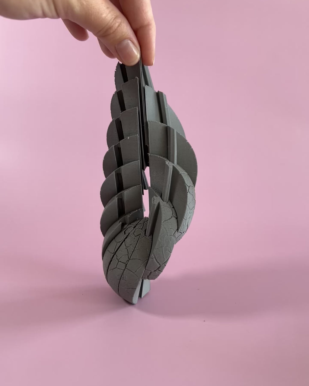 Cracked Earth Egg Flexi Fidget Toy