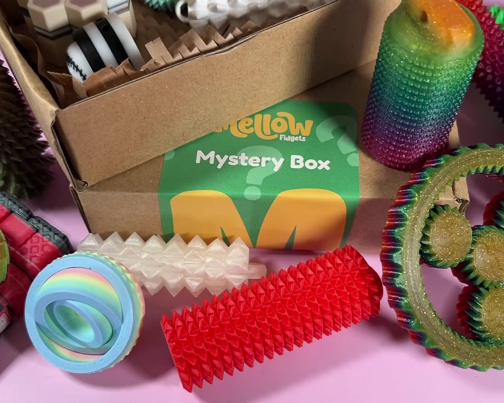Random Fidget Mystery Box