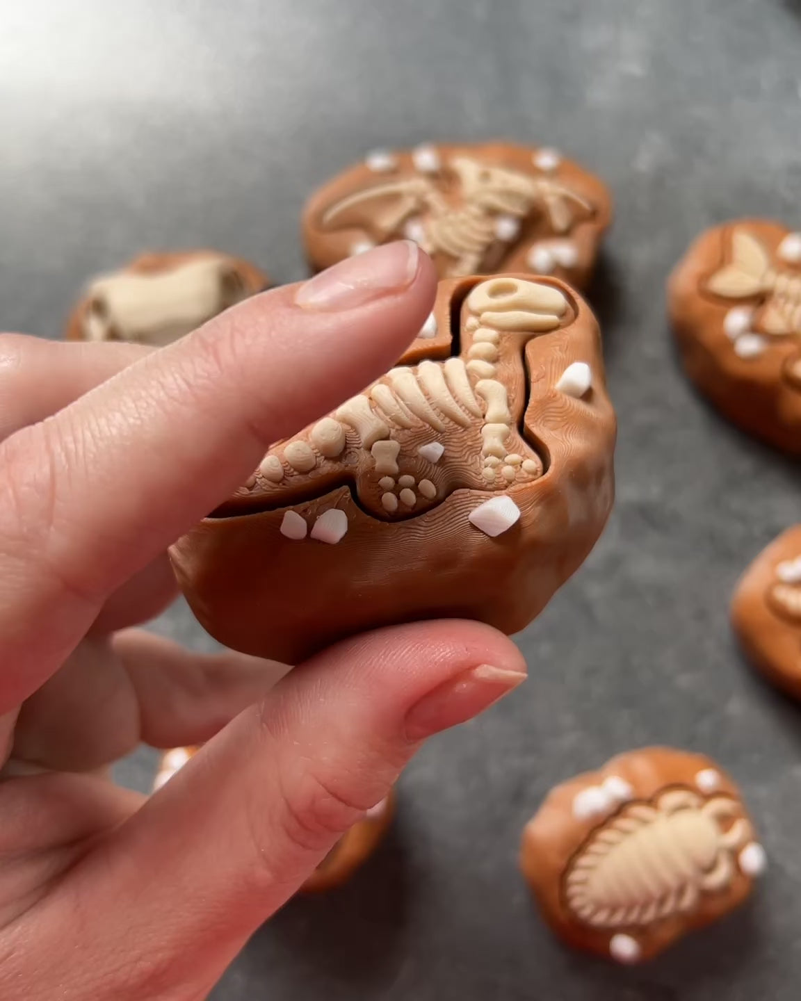 Dinosaur Fossil Clicker Fidget Toy