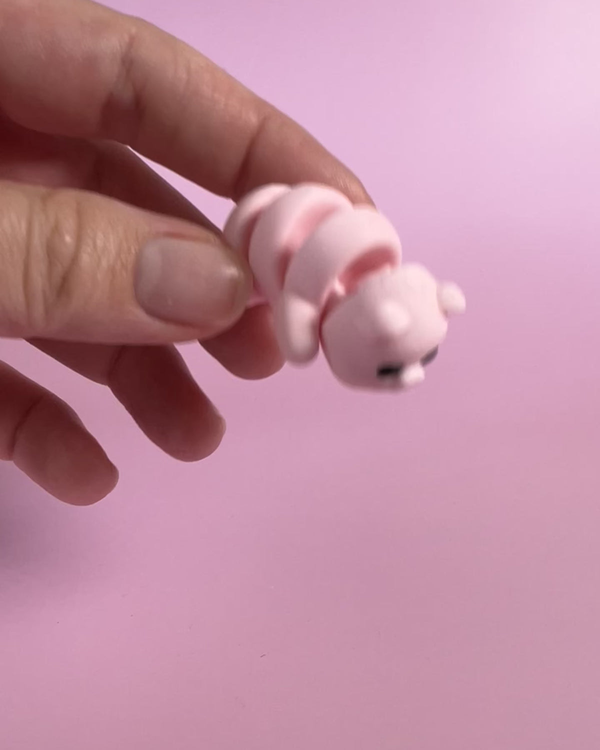 Pink Pig Wiggly Toy